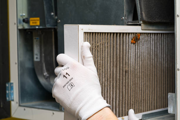 Best Affordable HVAC Duct Cleaning  in Winthrop, IA